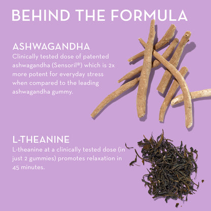 Ashwagandha and L-theanine in HUM NUTRITION Ashwagandha Calm gummies, behind the formula