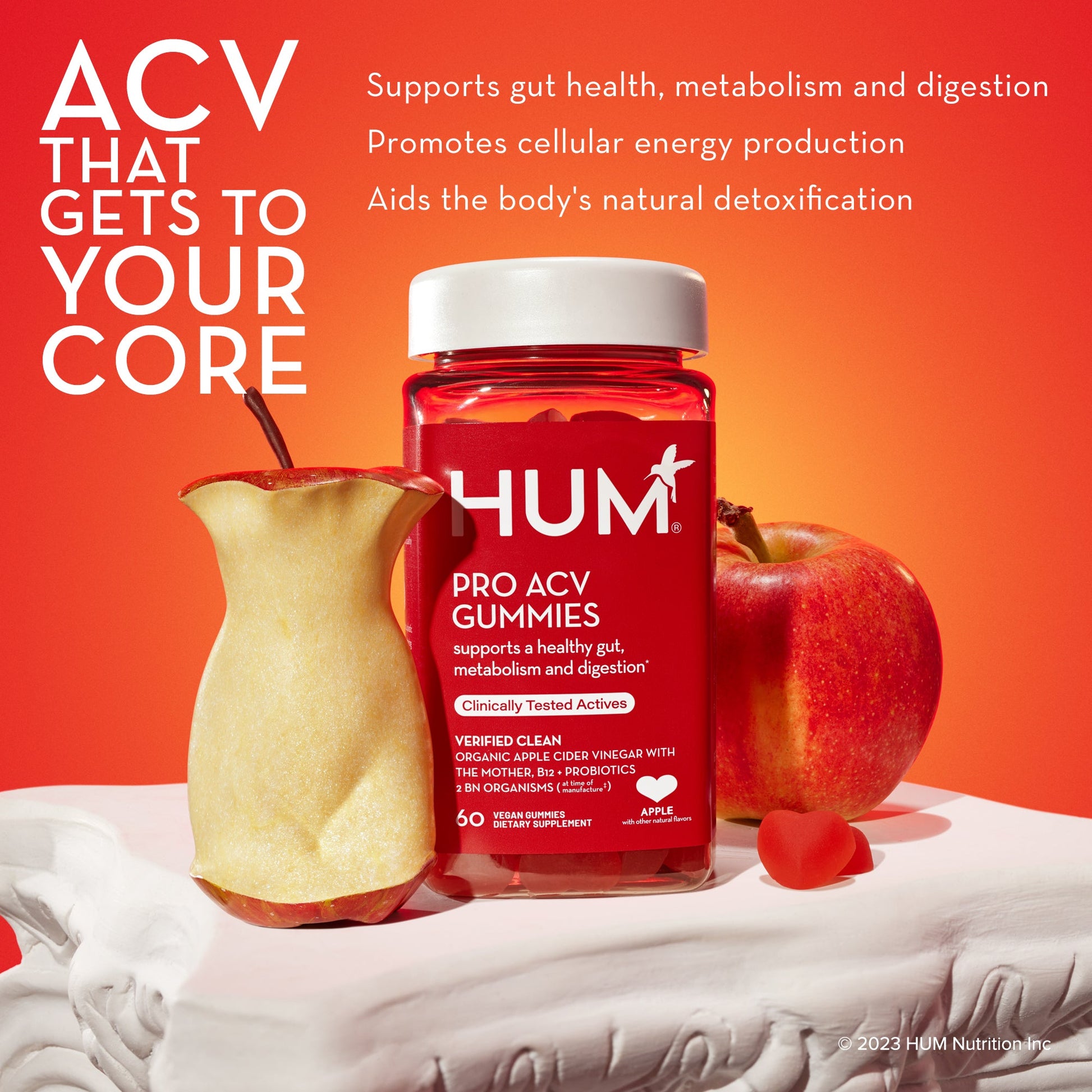 HUM NUTRITION Pro ACV gummies supports gut health, metabolism and digestion, promotes cellular energy production, and aids the body's natural detoxification