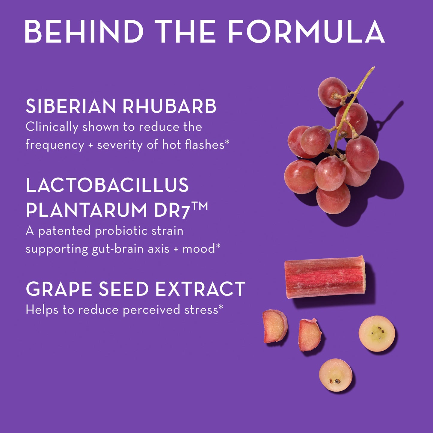 Siberian Rhubarb, Lactobacillus Plantarum DR7, and grape seed extract of HUM NUTRITION Fan Club capsules, behind the formula